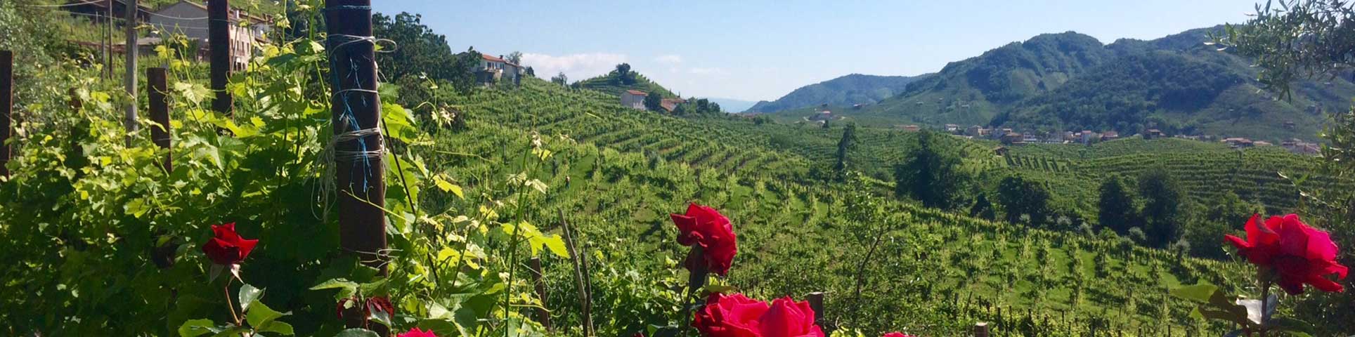 Agriturismo e cantina il Follo